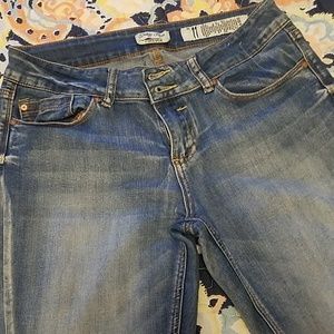 Indigo Rein Jeans